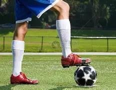 支付宝接口,在网页和移,动应用开发,皇冠体育平台,皇冠体育官方网站,皇冠体育登录入口,皇冠体育app下载