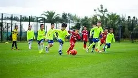 皇冠体育 产品 112336 7zz