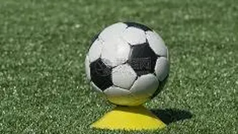 皇冠体育 资讯 112001 efa