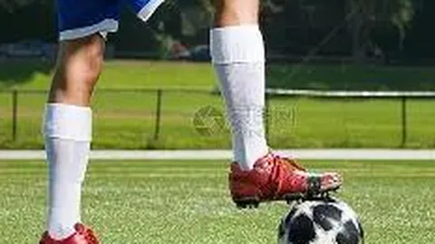 支付宝接口在网页和移动应用开发中的应用