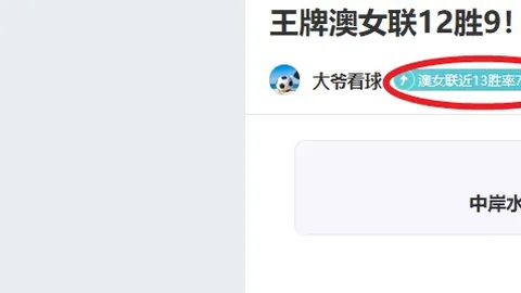揭秘冲突：主帅隔空发声，索博尊重之谜引热议，内部看法终将揭晓！